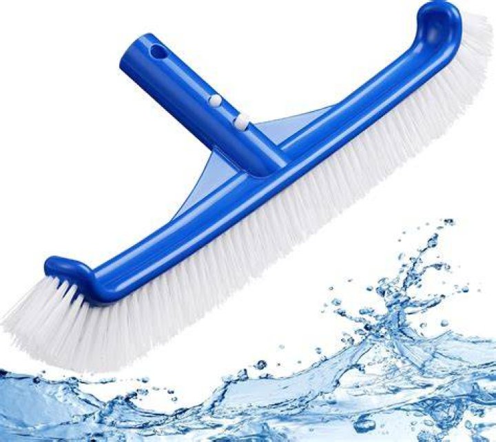 A Pool Brush