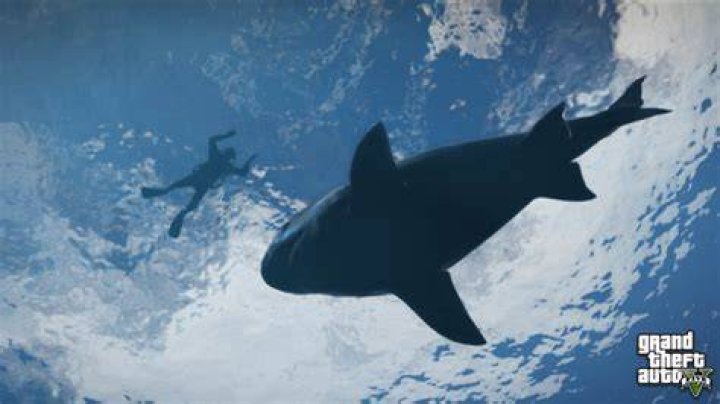 
A terrifying dive into GTA V