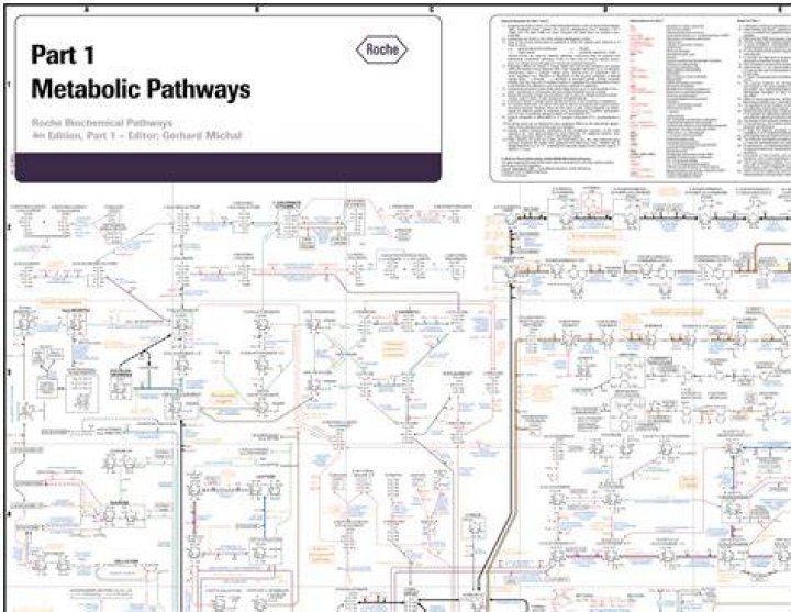Bio 2.7 - Metabolic Pathways Knowledge (2018)