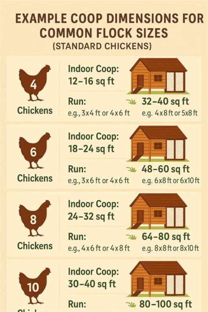  Co-op Guide