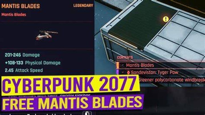 
Cyberpunk 2077: How to Get Free Mantis Blades