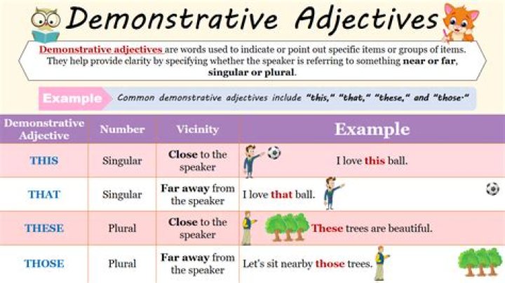 Demonstrative adjectives