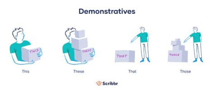 DEMONSTRATIVES