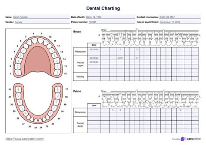 Dental Charting