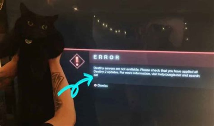 Destiny 2: How to fix Error Code CAT