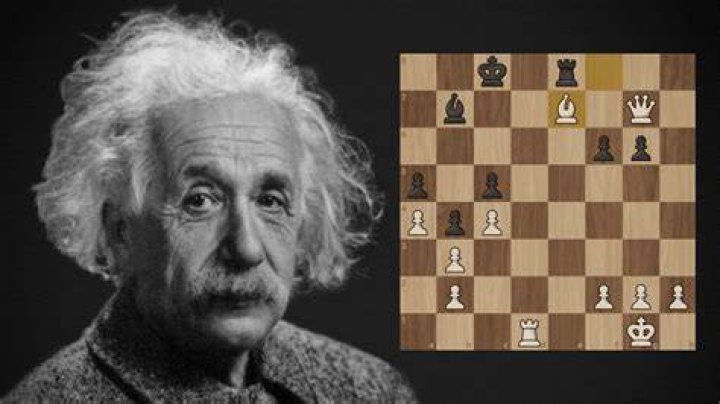 Does Albert Einstein play chess?