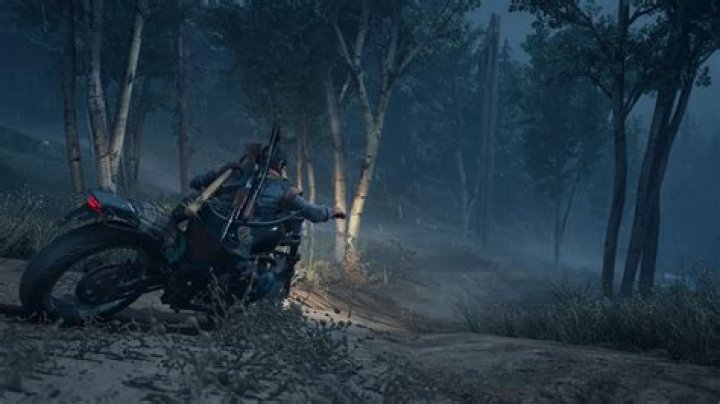 Does Days Gone support cross-platform play?