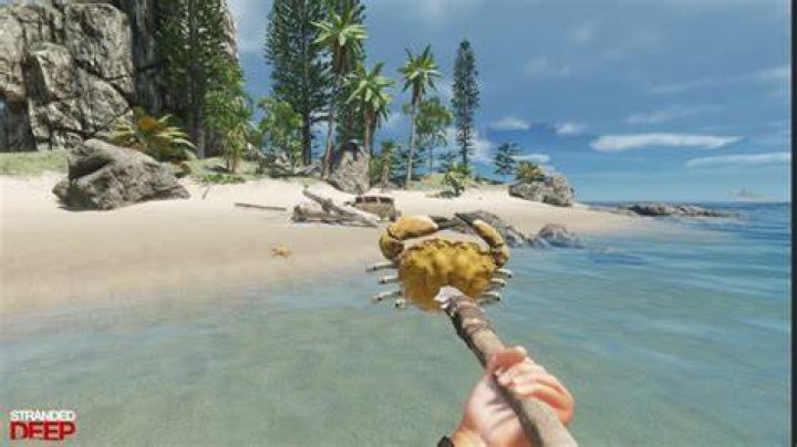 Does Stranded Deep have splitscreen multiplayer? Answered