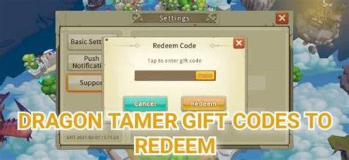 dragon tamer codes