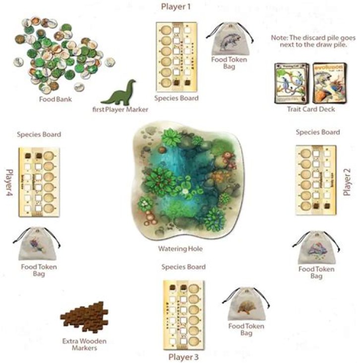 How to play Evolution | Official Rules