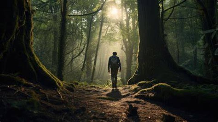 Leon walking through a forest in resident evil 4