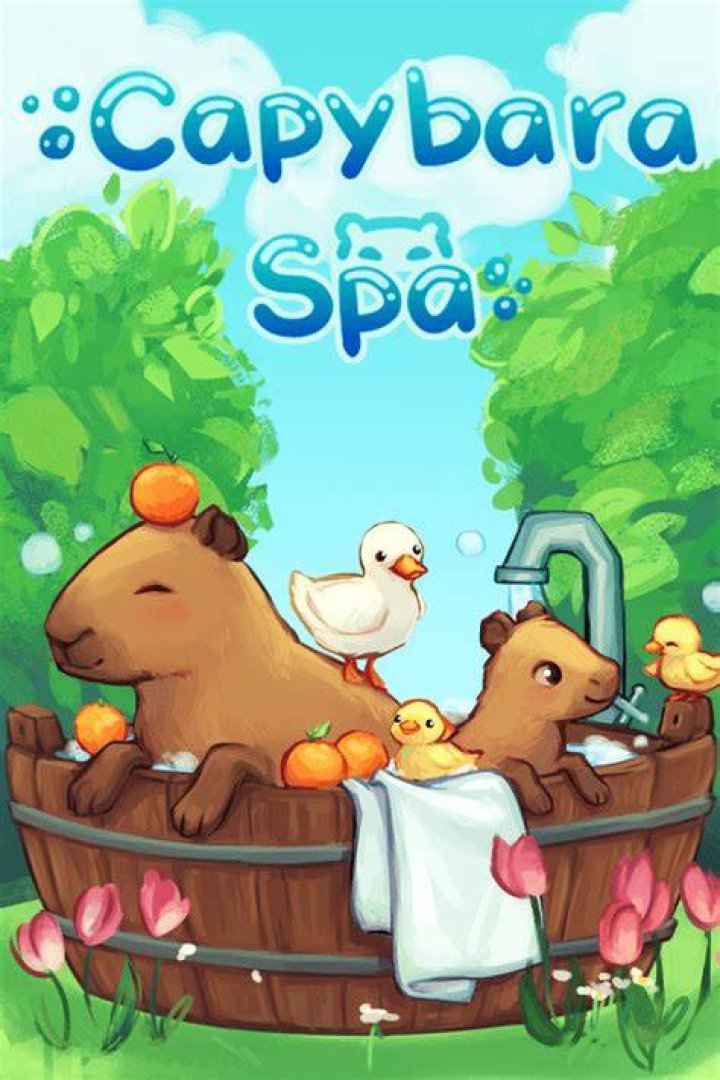 Logo of Capybara Spa