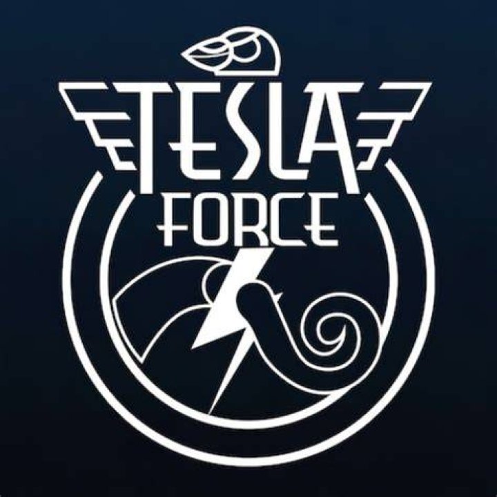 Logo of Tesla Force