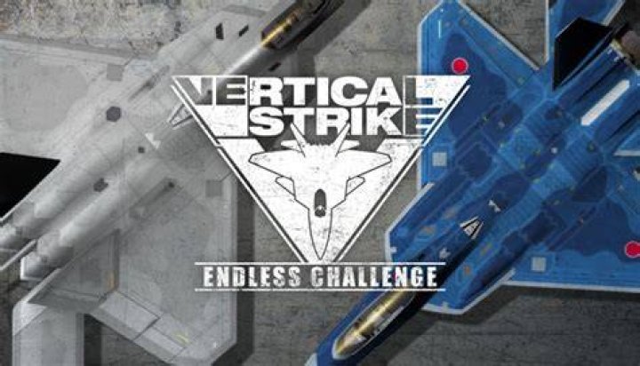 Logo of Vertical Strike Endless Challenge
