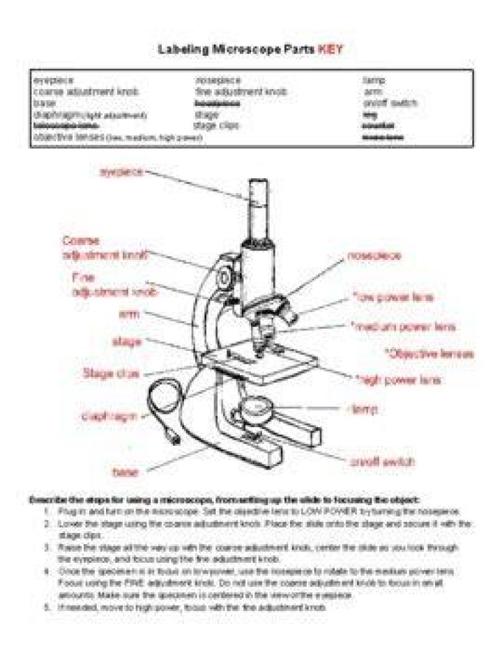 Microscope Labeling Game