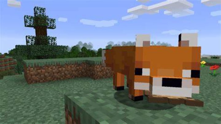 Minecraft Bedrock Update 1.13 patch notes