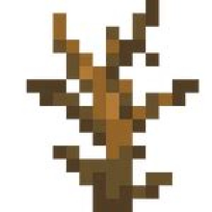 Minecraft Dead Bush