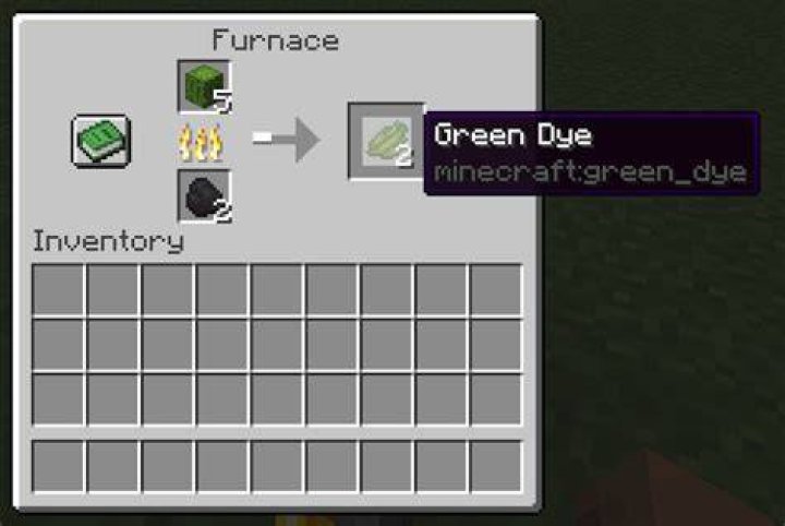 Minecraft Green Dye
