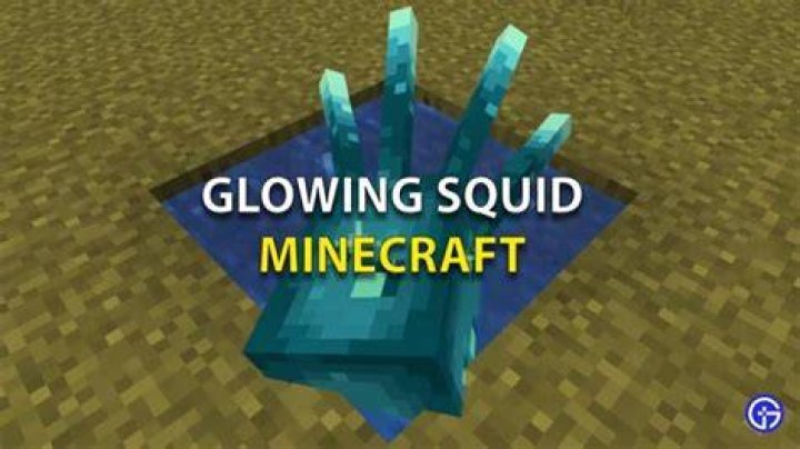 Minecraft: The Glowing Squids Guide