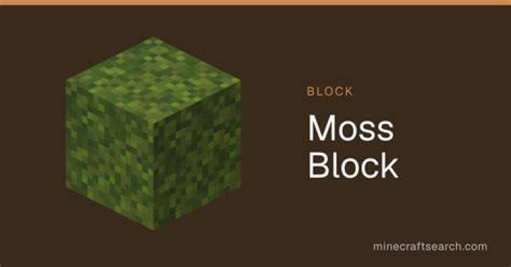 Moss Block Uses