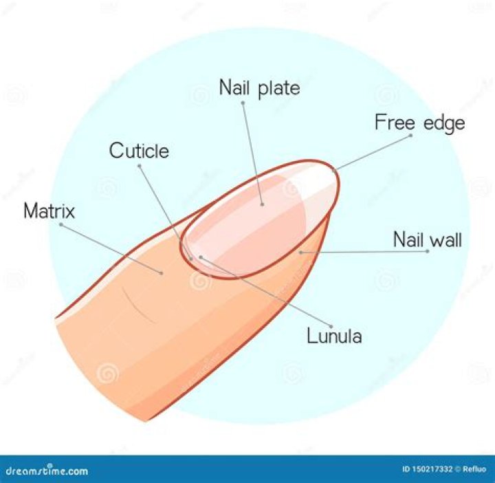 Nail Structure