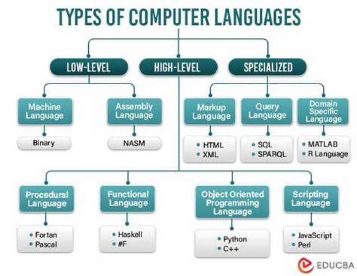 Name the Computer Programming Language 