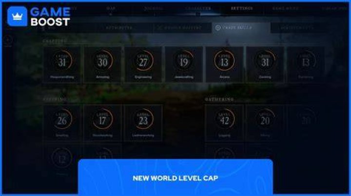 New World Level Cap