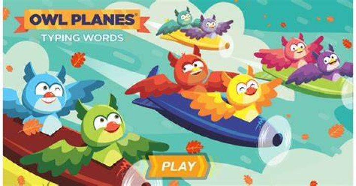 Owl Planes Typing