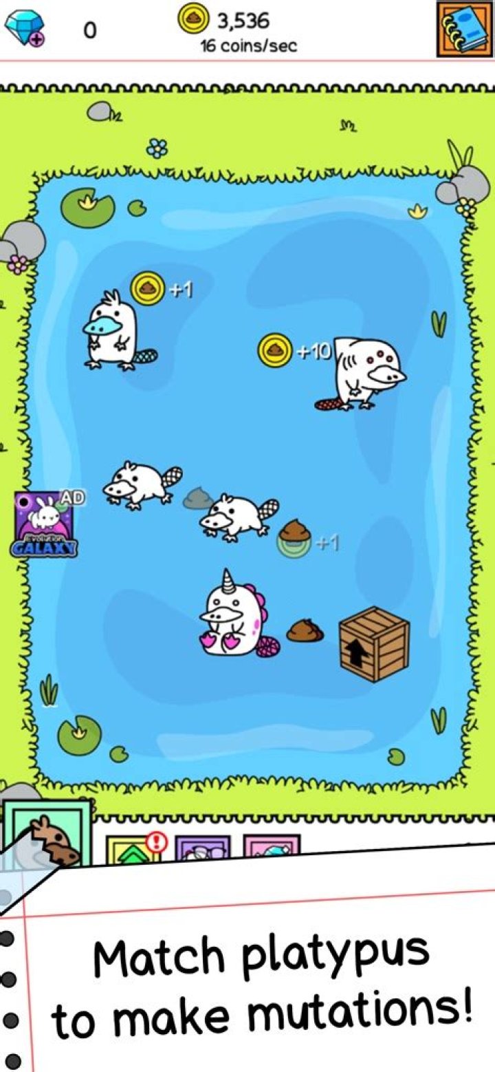 Platypus Evolution: Match Game