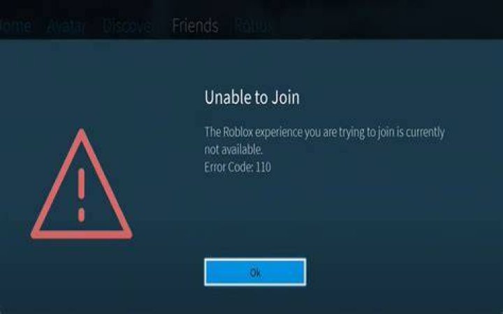 Roblox Error Code 110 Fix Solution