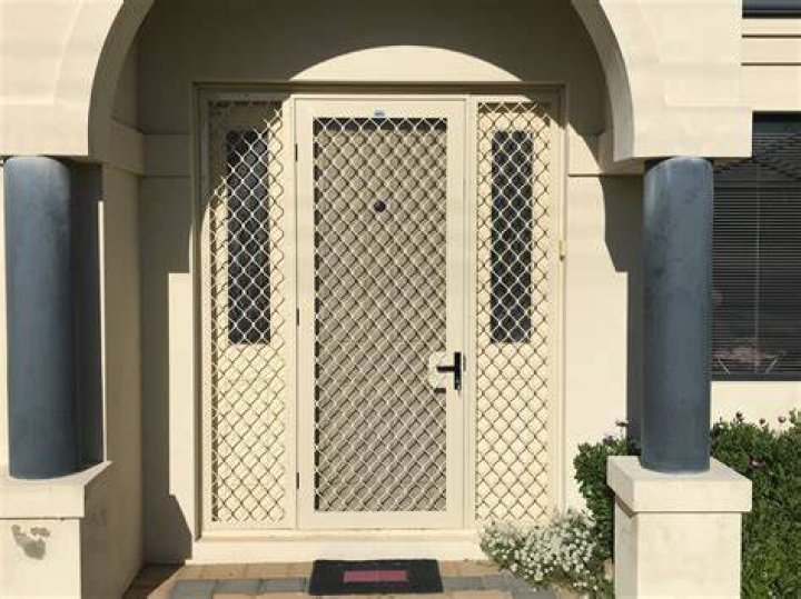 Security Door