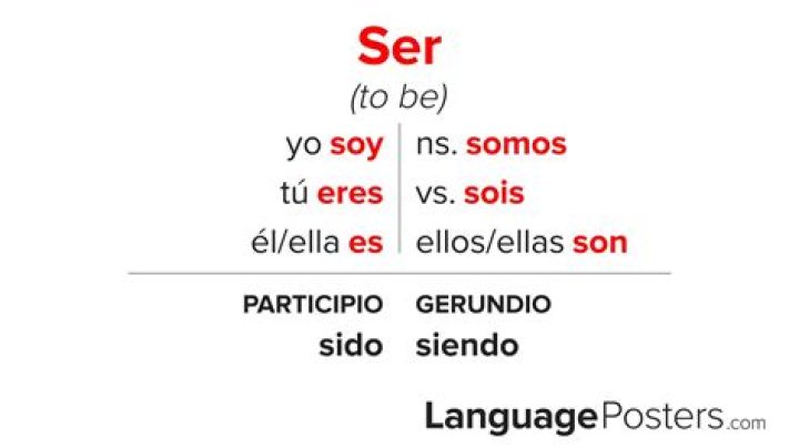 SER conjugation