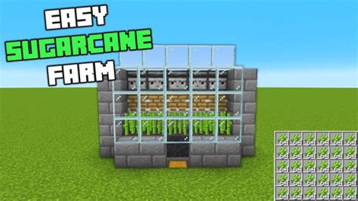 sugarcane farm minecraft