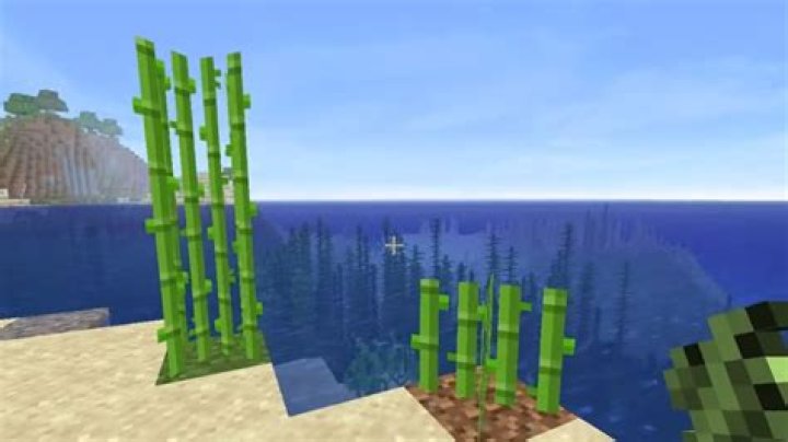 sugarcane minecraft