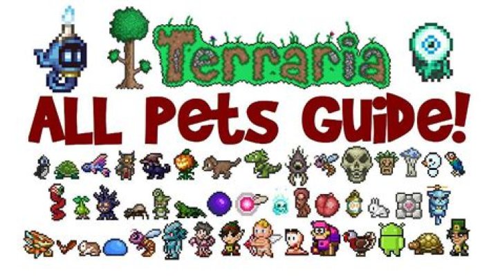 Terraria – Pets Guide