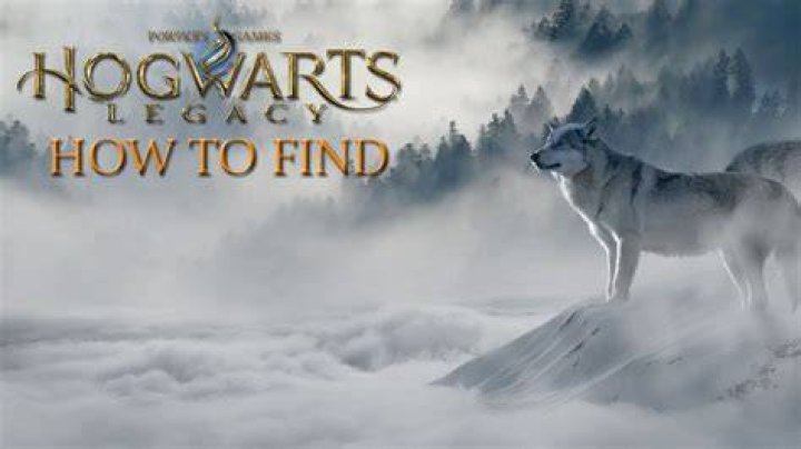 The White Wolf Hogwarts Legacy