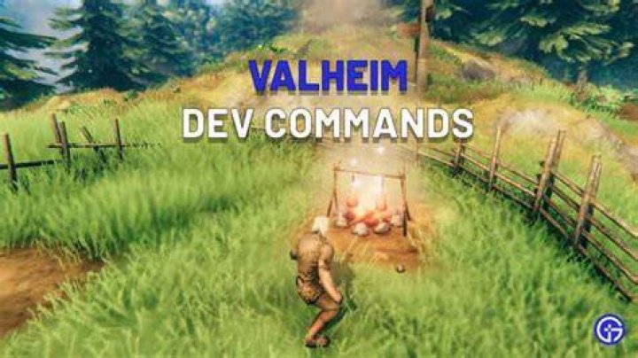 valheim dev commands warning message