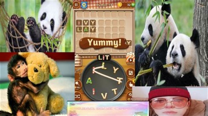 Word Cookies Astounding Chef-Cumin Level 7 Answers Word Cookies Astounding Chef-Cumin Level 7 Answers