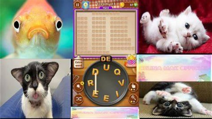 Word Cookies Wondrous Chef-Creamy Level 9 Answers Word Cookies Wondrous Chef-Creamy Level 9 Answers